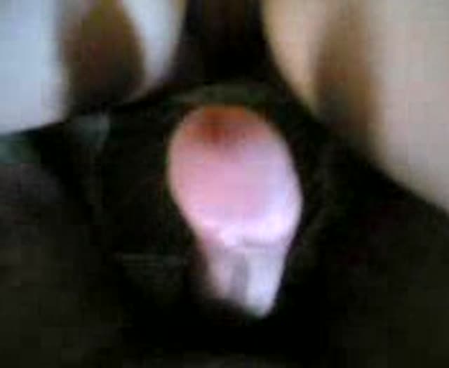 Hot Innie Pussy BBW Iranian/Persian Sex