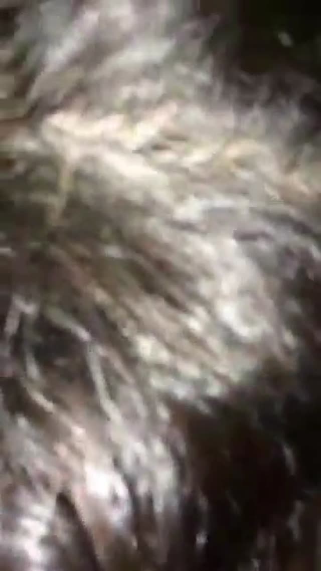 سکس و ساک زدن دختر خوشگل ایرانی