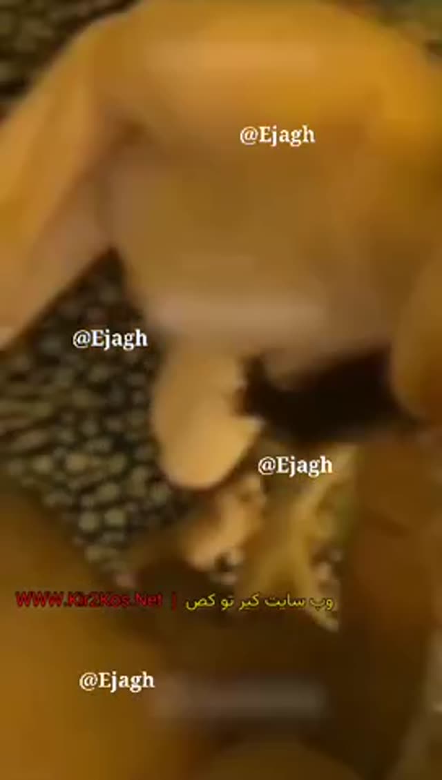 سکس ایرانی – دانلود پورن ایرانی و سوپر وطنی (1427).mp4