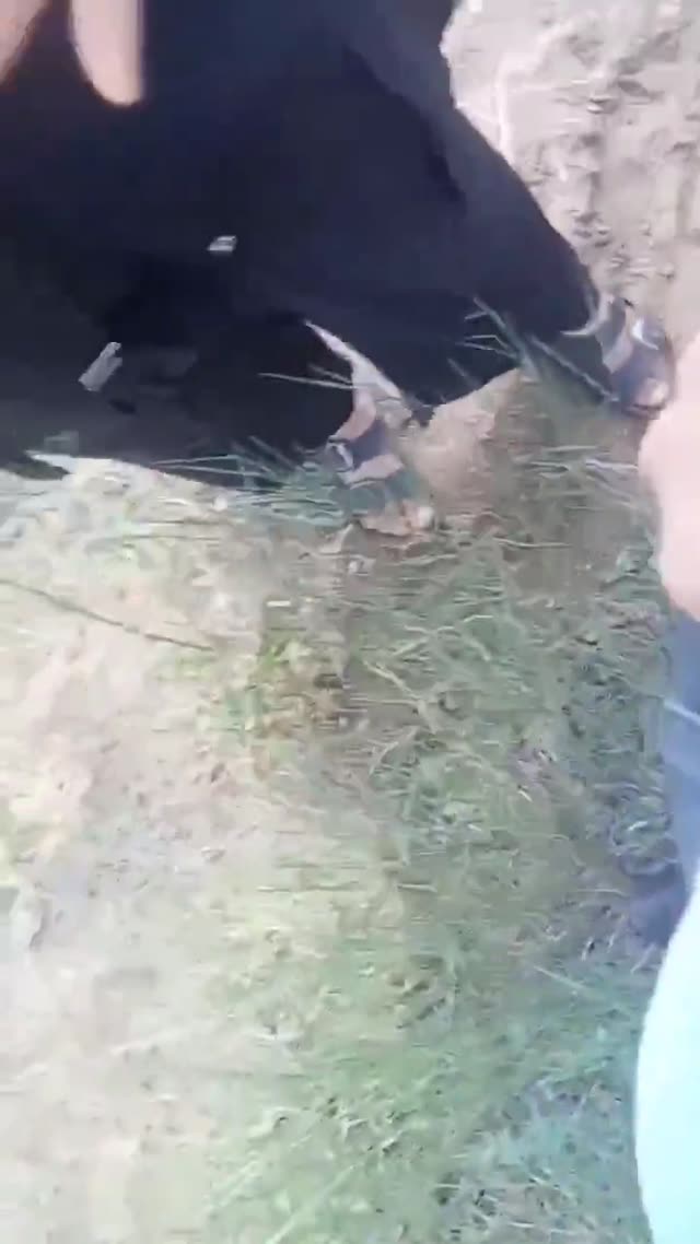 ساک زدن زن ترک برای پارتنرش تو پارک