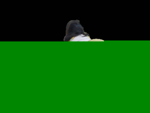 جیگر سکسی انجمن ♥ بیتا ♥