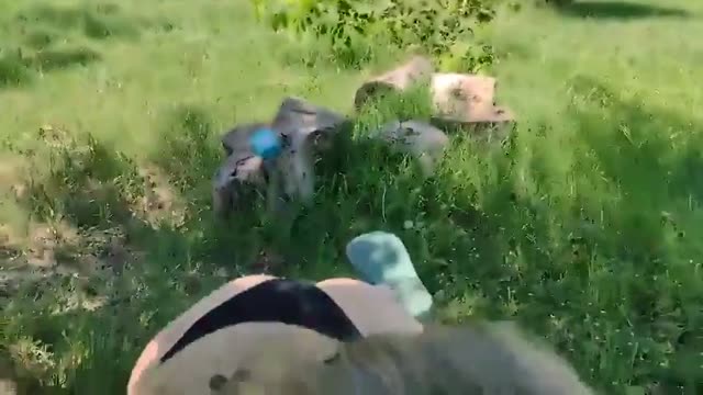 Latina amateur hottie gives blowjob at the park