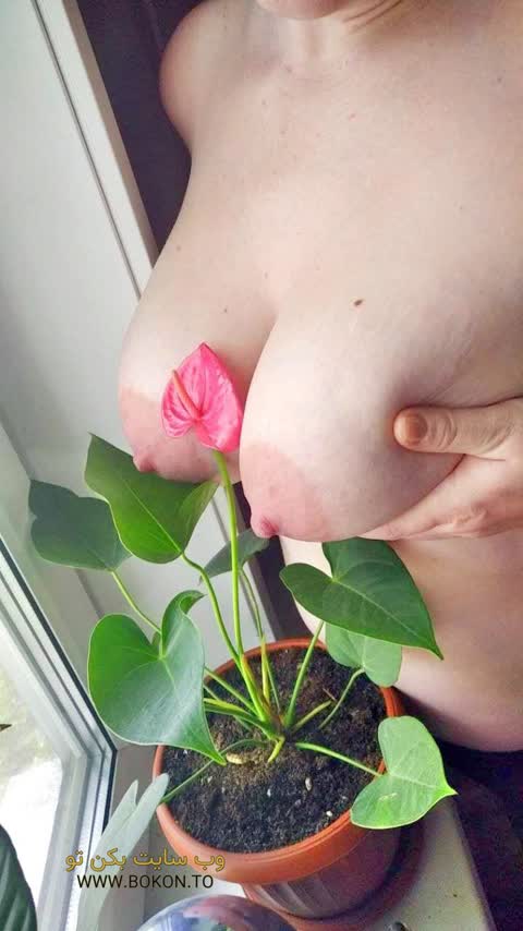 عکس سکسی ایرانی 5135fd42