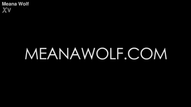 💦Meana wolf💦