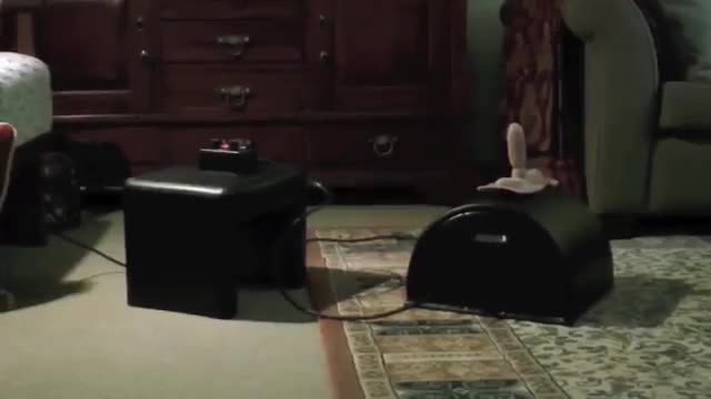 Hubby got his wife a Sybian
