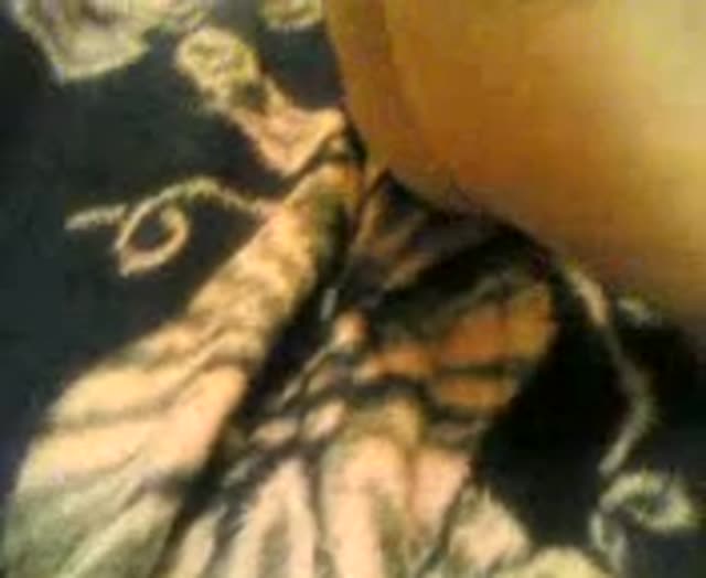 Small Tits Wife Getting Fucked by Husband