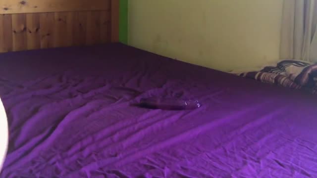 Bored housemate home alone filming herself on lockdown
