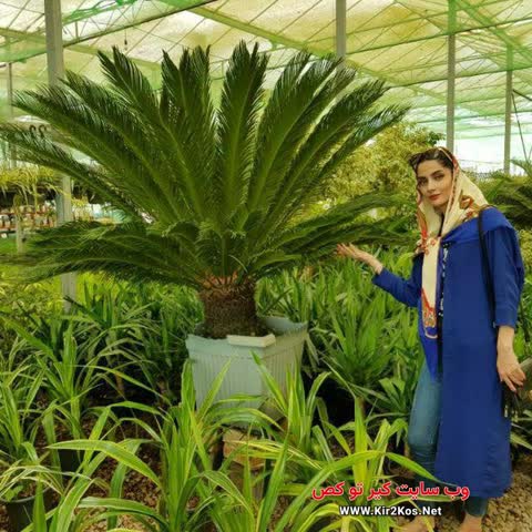 عکس سکسی ایرانی d094bd6f