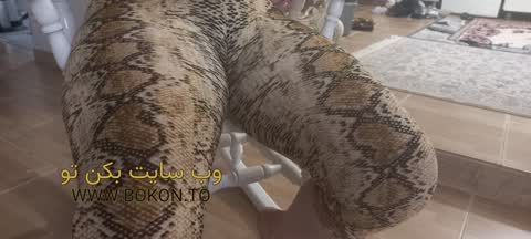 عکس سکسی ایرانی 09e55700