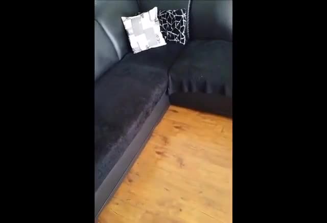 German anal slut loves her ass gaped