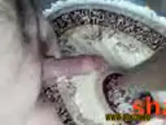 Amazing Blowjob by Very Beautiful Hot Persian Cock Sucker Girl.mp4