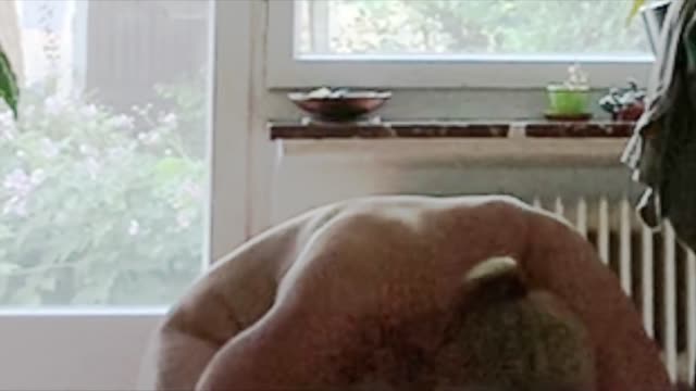 Hidden cam 69 with a cheating slut wife