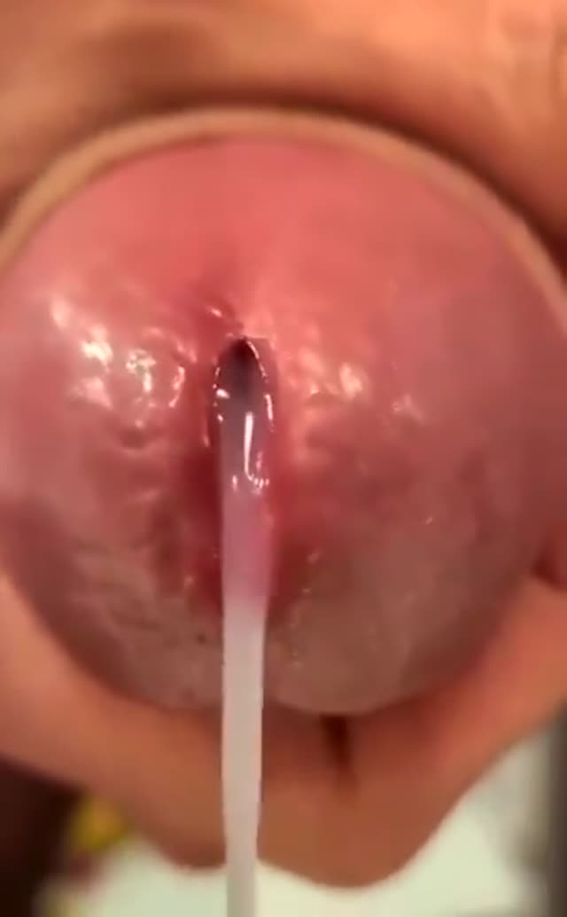 شده خودت رو اینجا تصور کنی؟؟؟