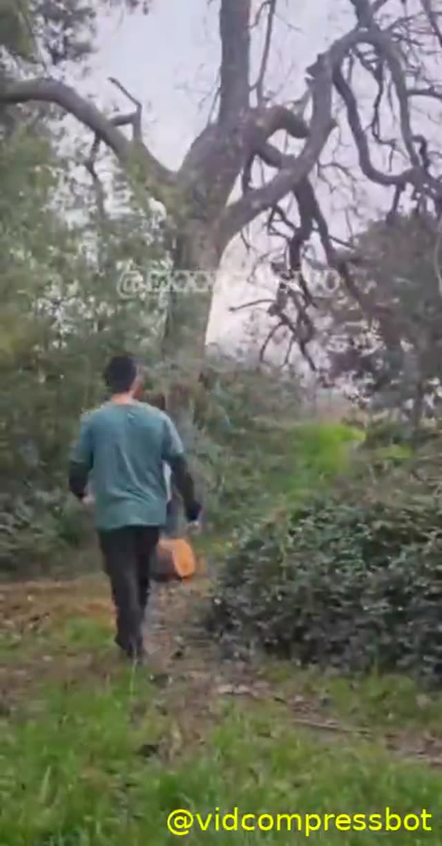 نحوه صحیح کردن کون😋😋
