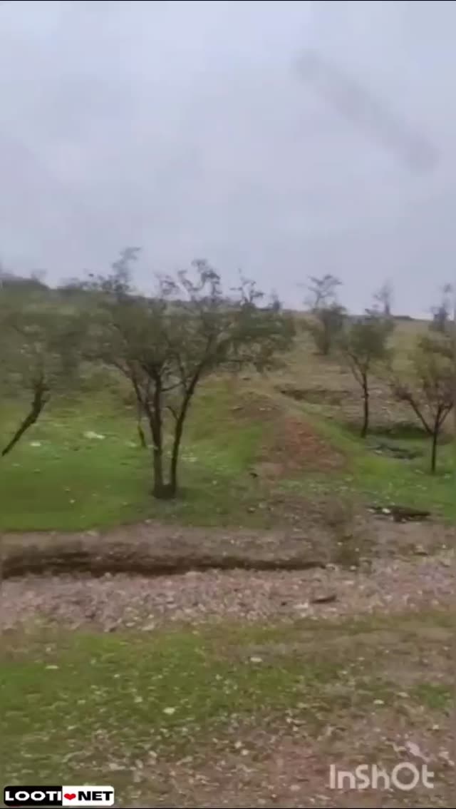 دوست دخترشو با پارس برده توی باغ بیرون شهر یه جای دنجو خوش اب و هوا سرپایی میکنه