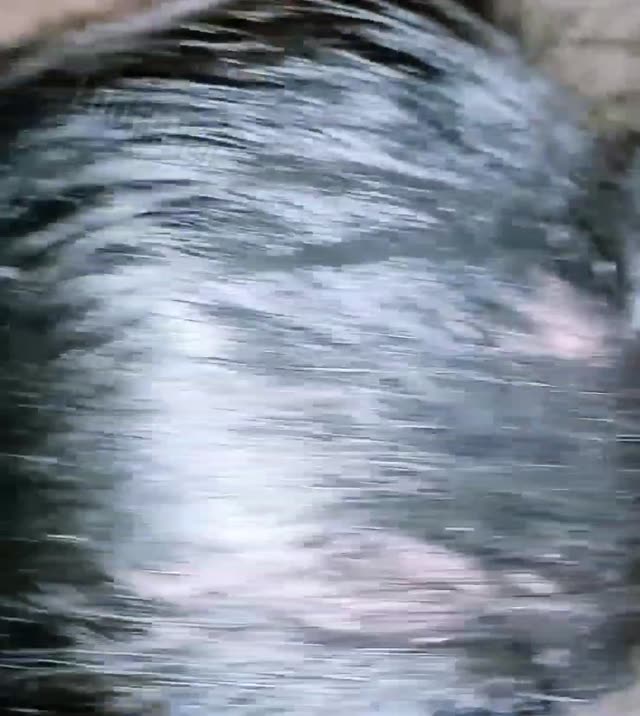 سکس کوتاه سه نفره با خانوم کون گنده و حشری.mp4