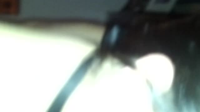 Sexy chubby girlfriend loves to swalow