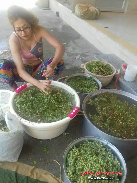 عکس سکسی ایرانی f847344b