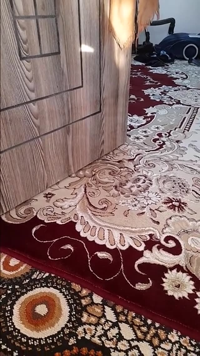 [فیلم]دید زدن یواشکی😍