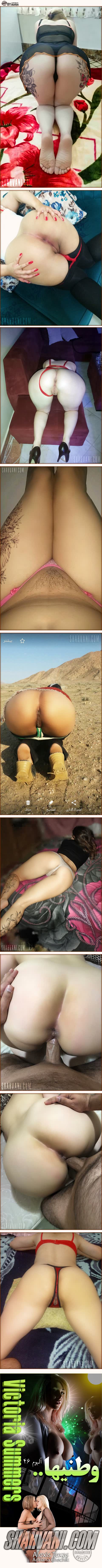 وطنیها.. آلبوم 46