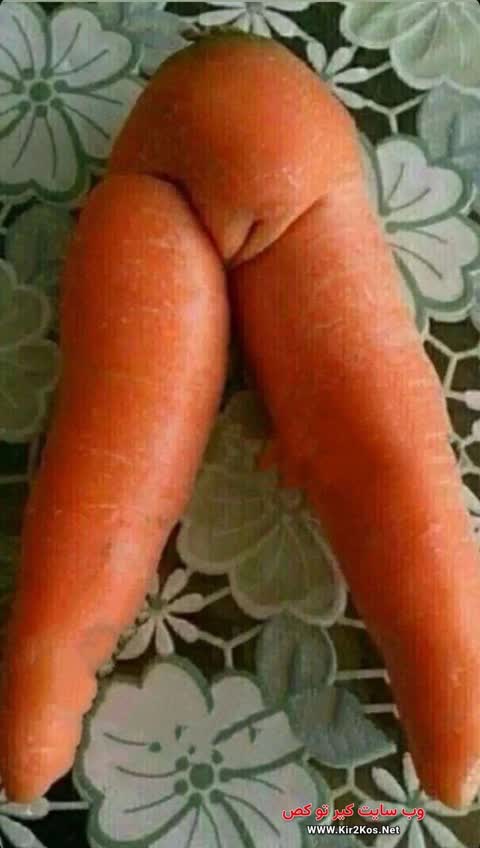 عکس سکسی ایرانی e8d84243