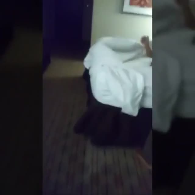 My wife loves fucking black strangers while I film
