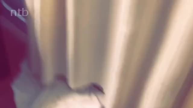Freak likes BBC hard in her ass