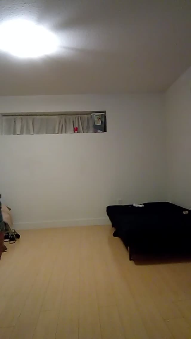 A lil strip and booty shake