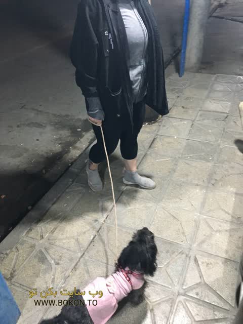 عکس سکسی ایرانی 6136be0c