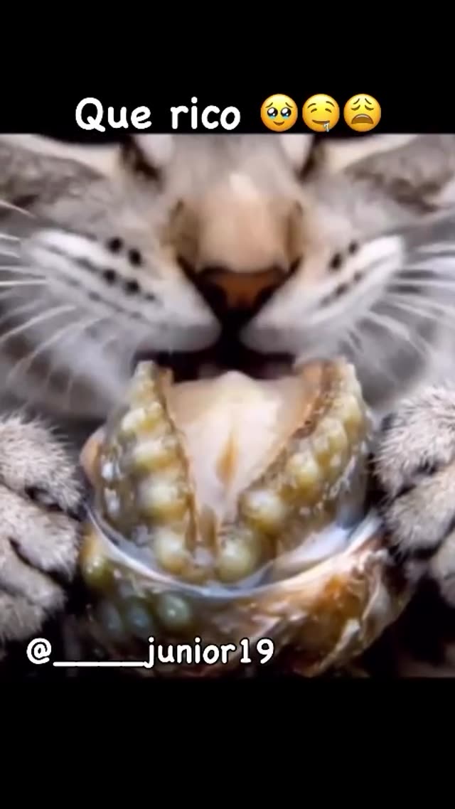 لذت دنیا با دوست پسرم😈💜